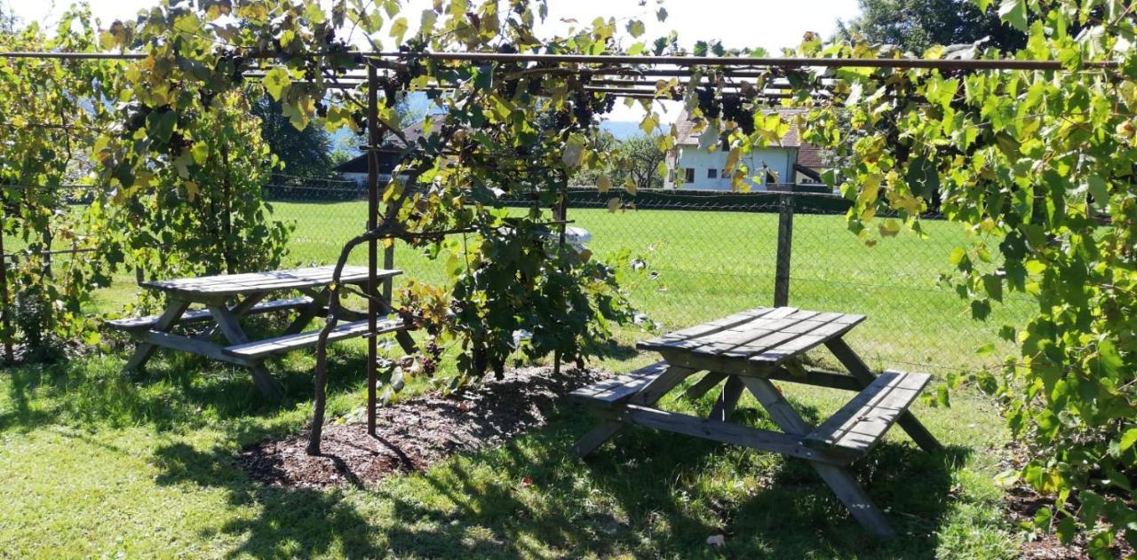 Seeidylle Winkler Bodensdorf Kültér fotó